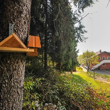 Ai Pini Apartment *